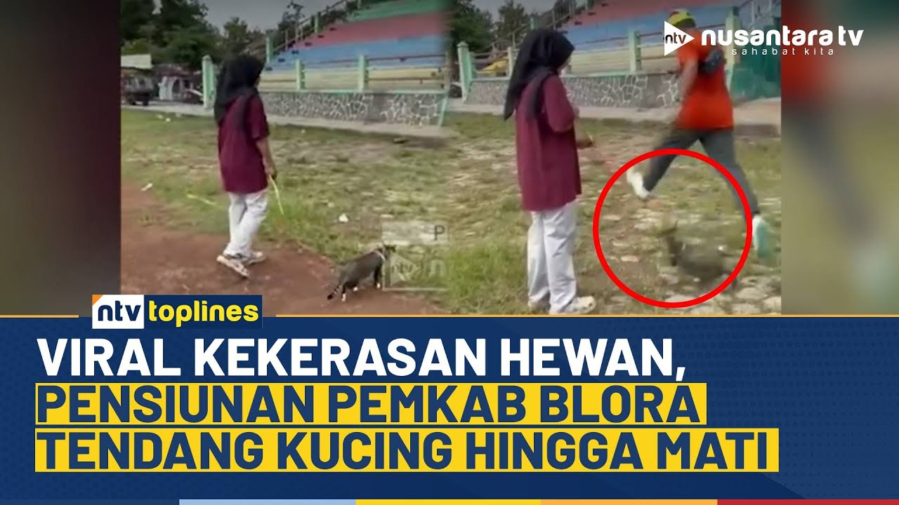 Geger di Medsos, Kucing Ditendang hingga Mati, Pelaku Pensiunan Pemkab Blora | NTV TOPLINES