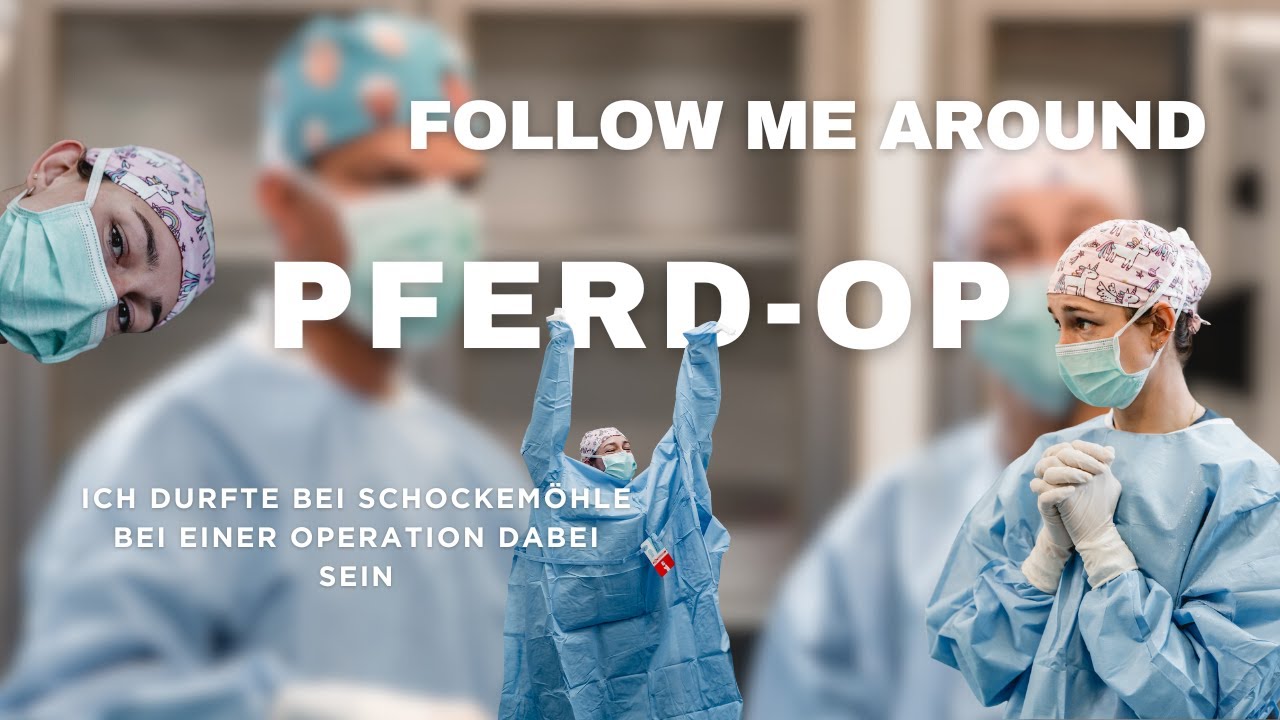 Live im OP: Chip-Operation im Gestüt Lewitz 🩺🐴