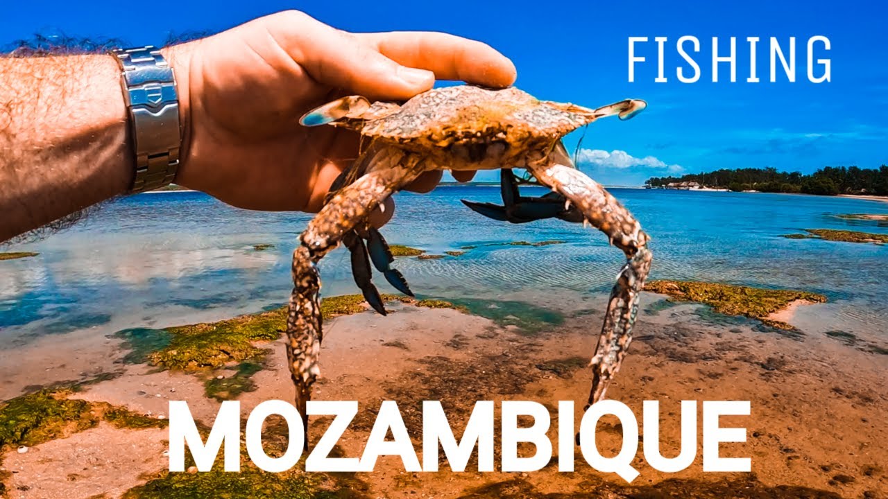 FISHING AND EXPLORING MOZAMBIQUE - Paradise Fishing Spot.
