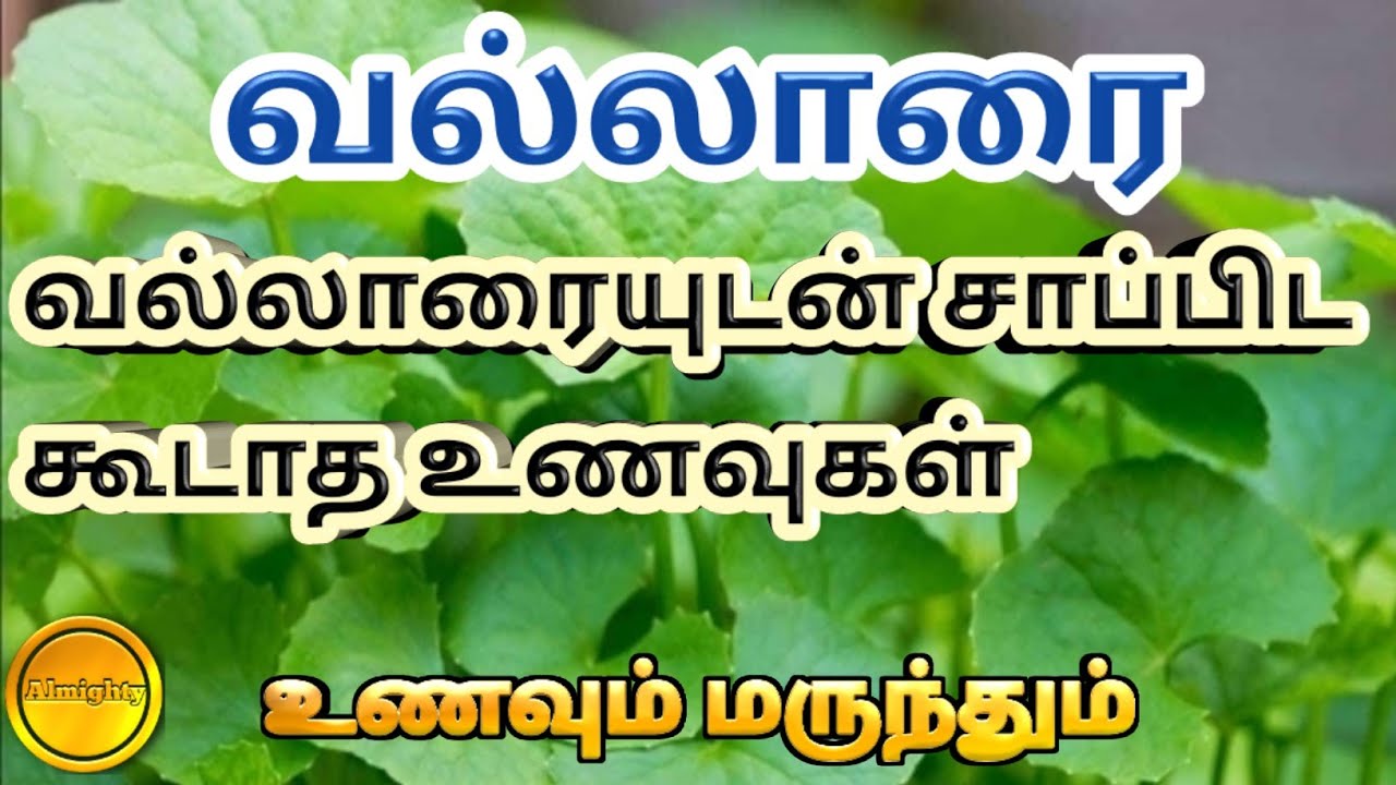வல்லாரை கீரையின் மருத்துவ குணங்கள்/ வல்லாரை மருத்துவ பயன்கள்/ வல்லாரை கீரையின் நன்மைகள்/வல்லாரை பயன்