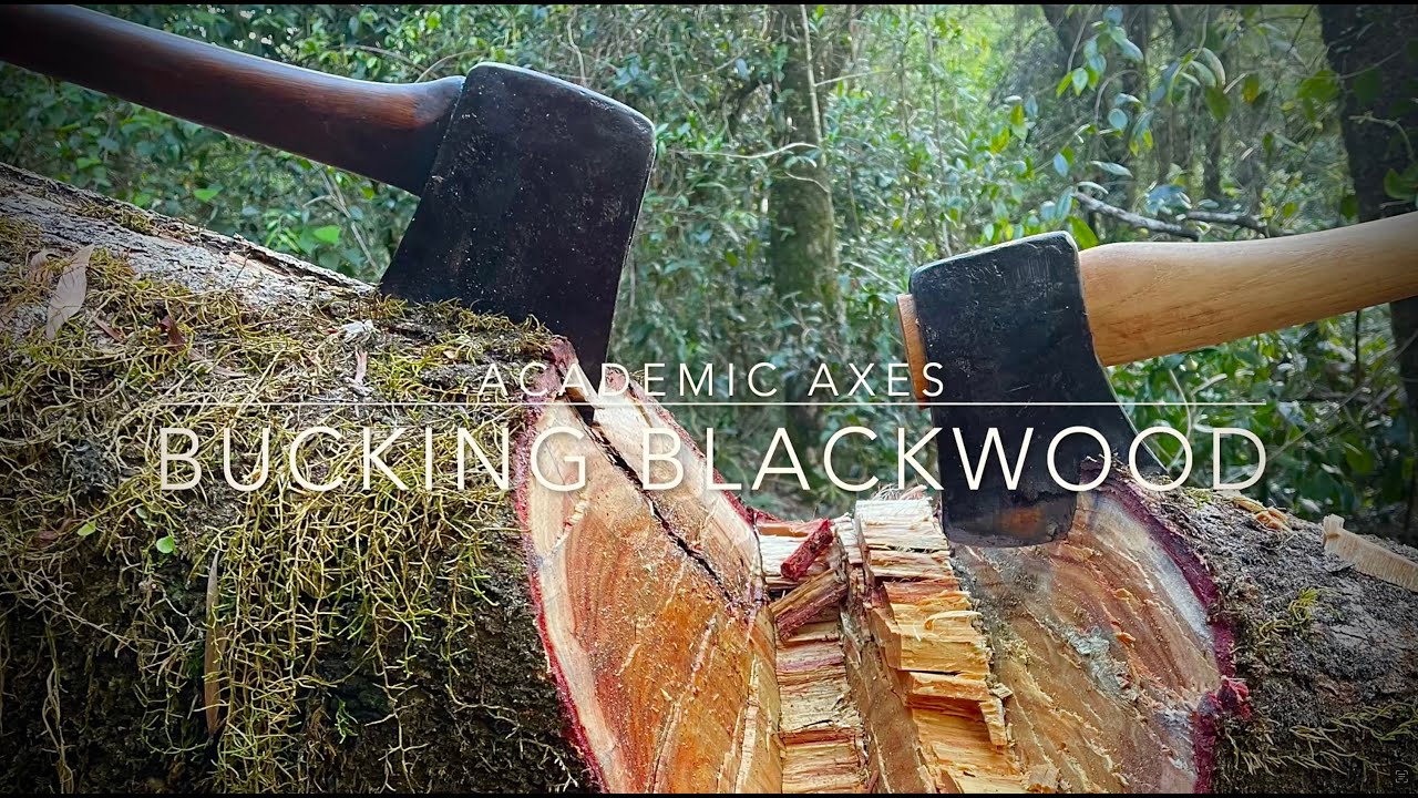 Bucking Blackwood with vintage Tasmanian pattern axes