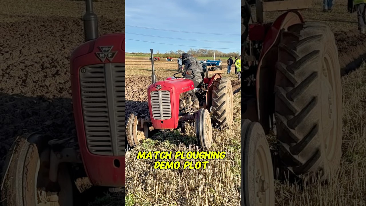 Massey Ferguson Tractor Demo Match Ploughing