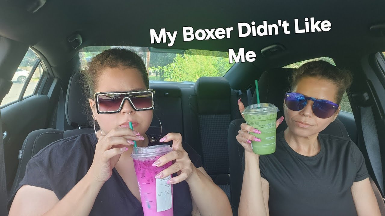 *Storytime* My Boxer Didn't Like Me