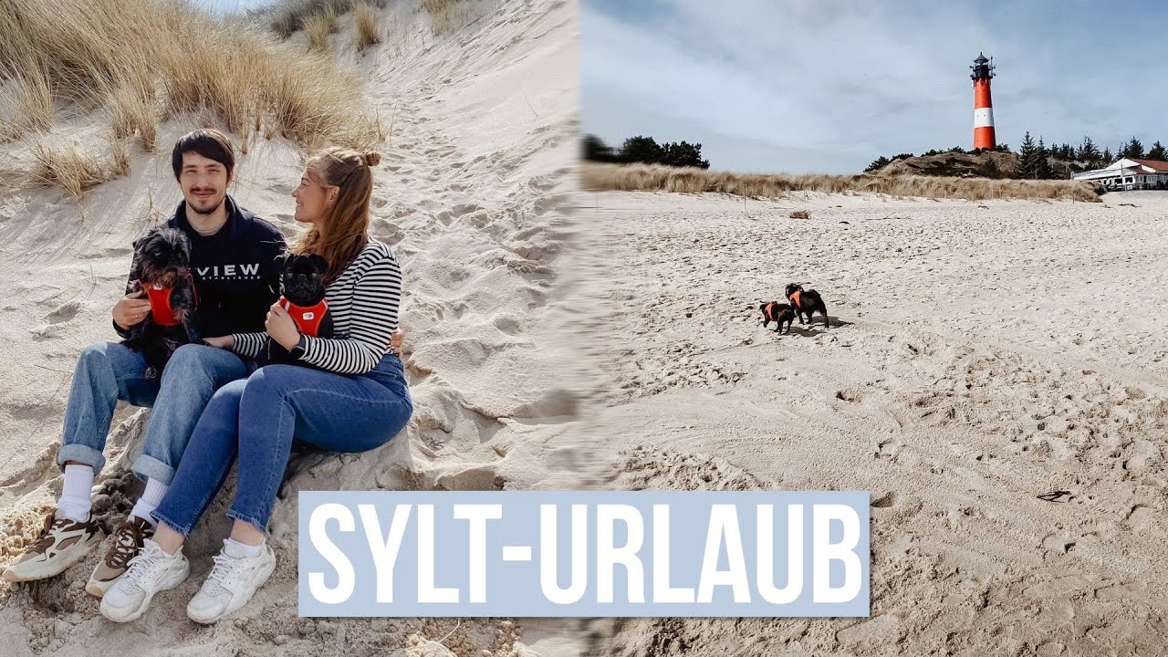 SYLT ist WUNDERSCH&Ouml;N &bull; mit Hunden im Urlaub auf Sylt (Vlog)