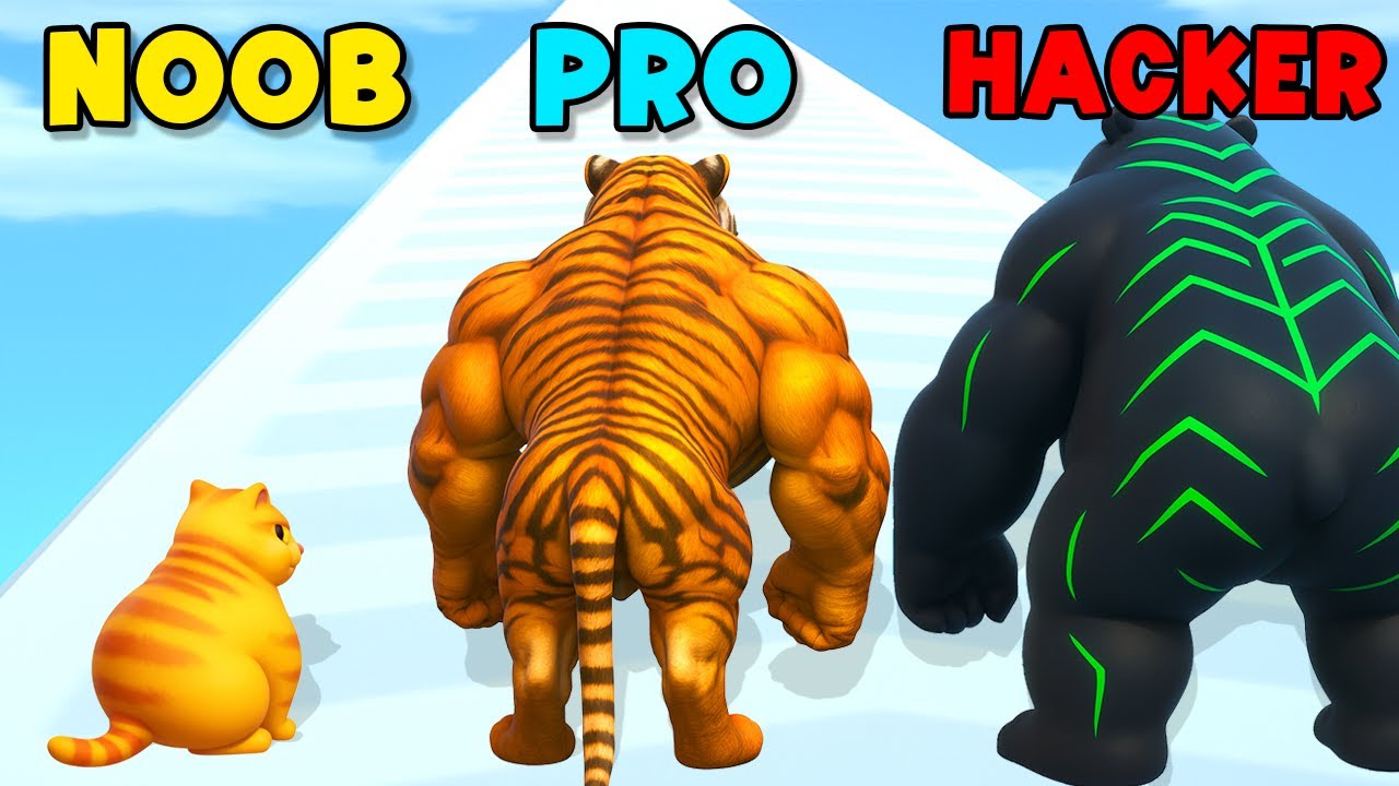 NOOB vs PRO vs HACKER - Cat Evolution 