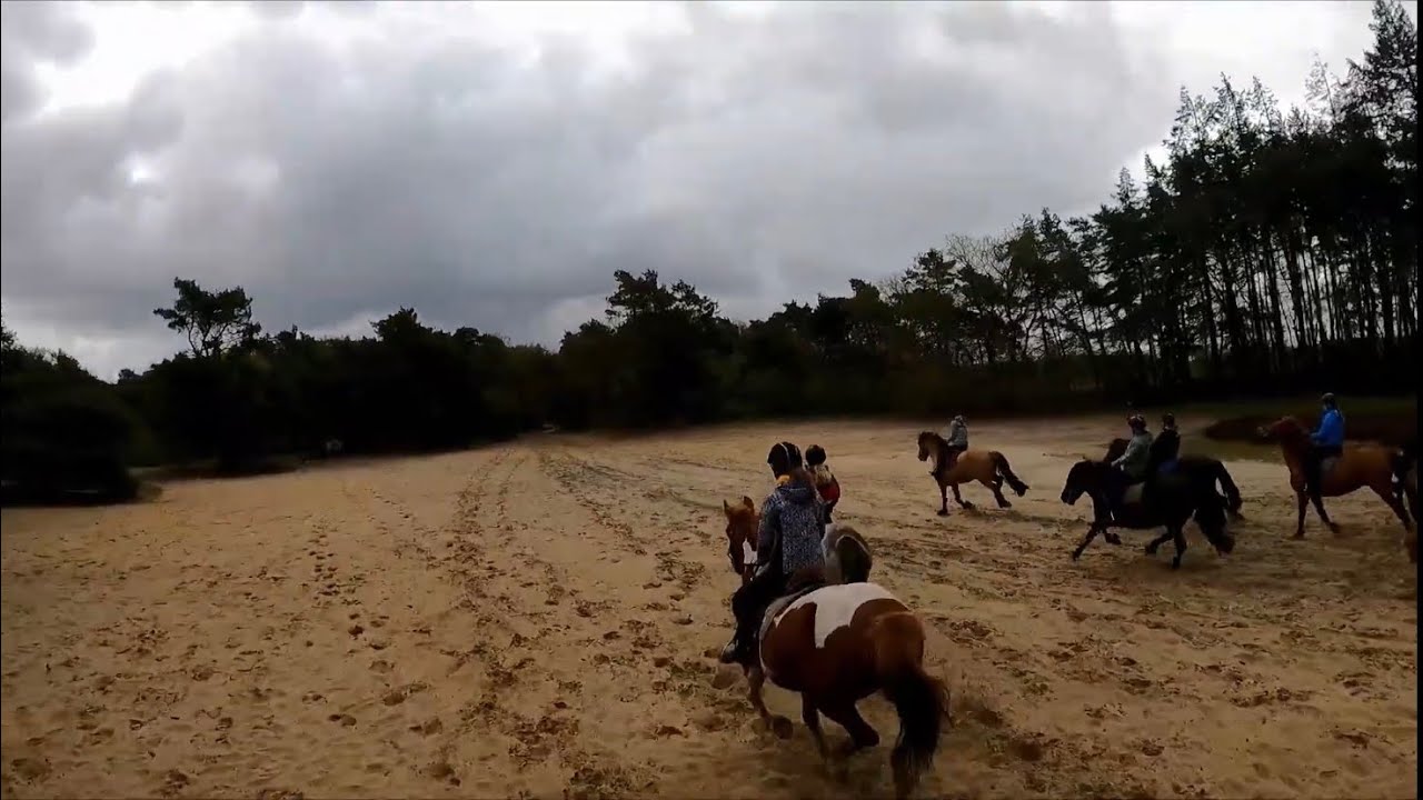 Rc het Fjordenpaard Mei 2021