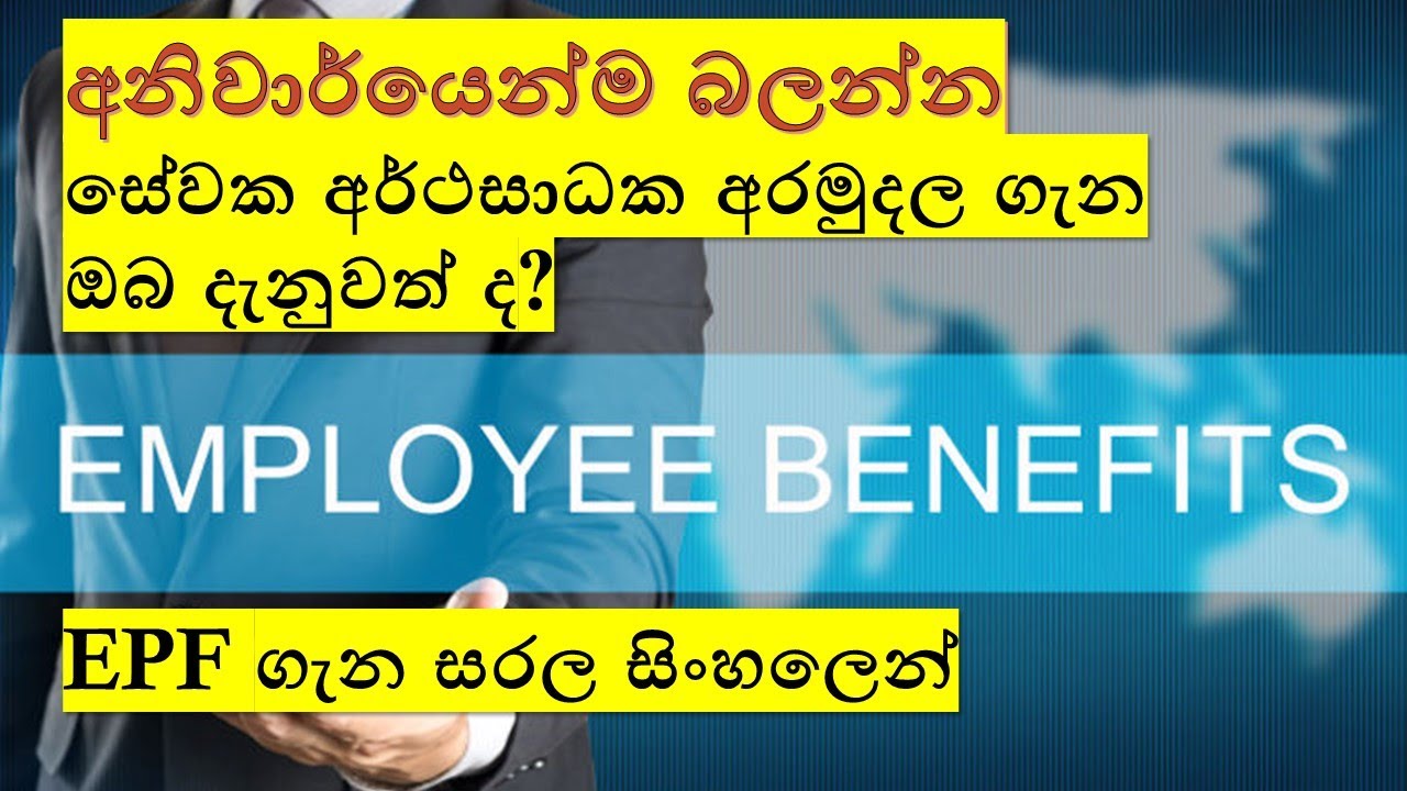 සේවක අර්ථසාධක අරමුදල ගැන විස්තරාත්මක වාර්තාව | Employee Provident Fund | Sinhala