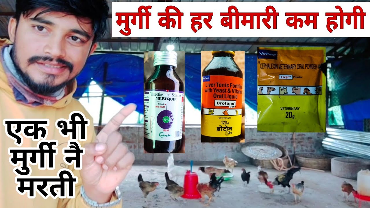murgi ki bimari ka ilaj | murgi ki bimari ki dawa #farming