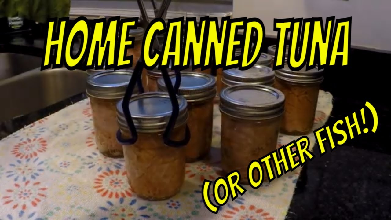 Home Canned Tuna or Fish 101 (The Easy Way!)