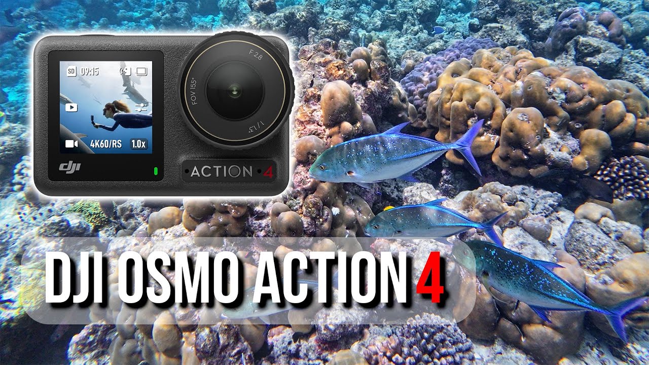 DJI Osmo Action 4 | Underwater Footage | D-Log M Color Graded