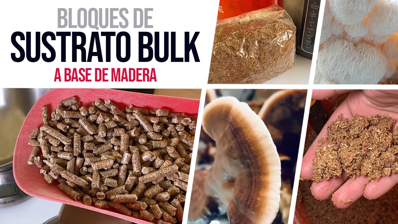 Cultivo de Hongos - Sustrato bulk para Hongos de Madera