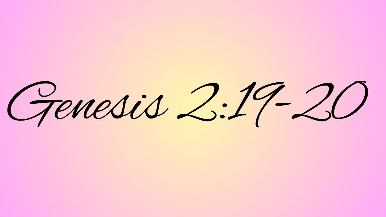 Genesis 2: 19 ,20
