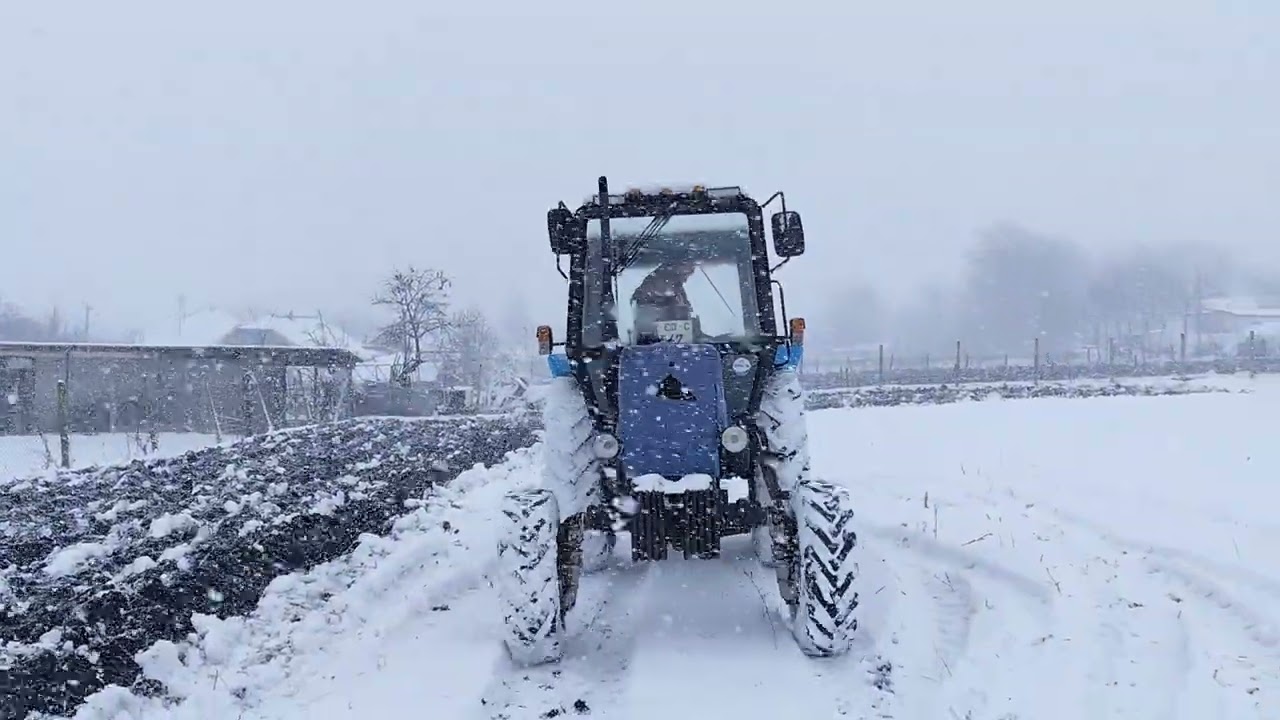 Arătură de iarna pe zăpadă.8.01.2026