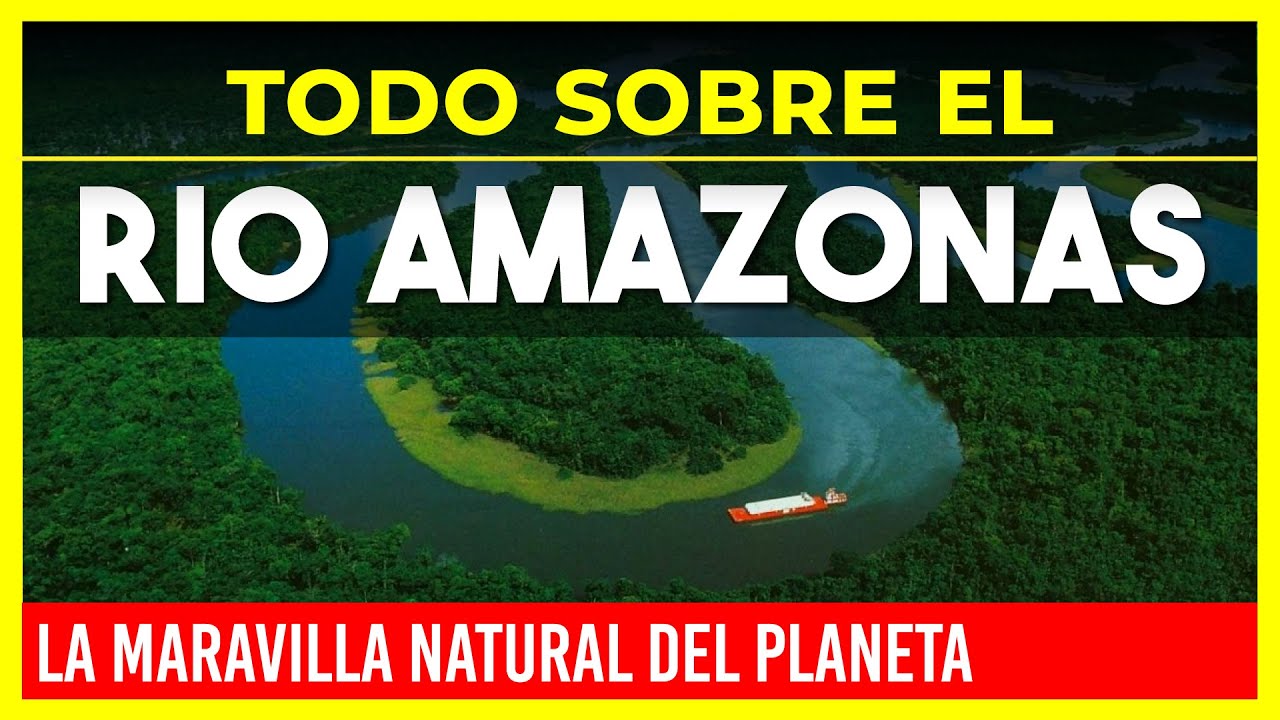 🔴 TODO SOBRE EL RIO AMAZONAS 🔴 LA MARAVILLA NATURAL DEL PLANETA 🌲 WAMAN ADVENTURES