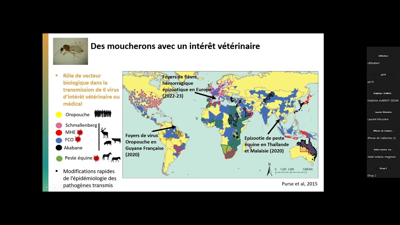 Culicoides et lutte antivectorielle