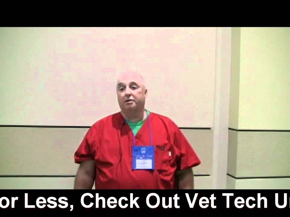 Online Vet Tech Training