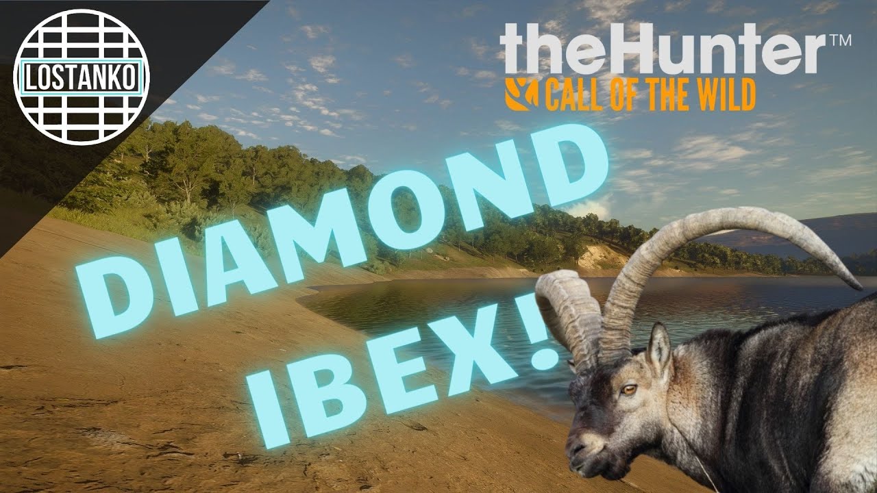 Diamond Beceite Ibex! | COTW