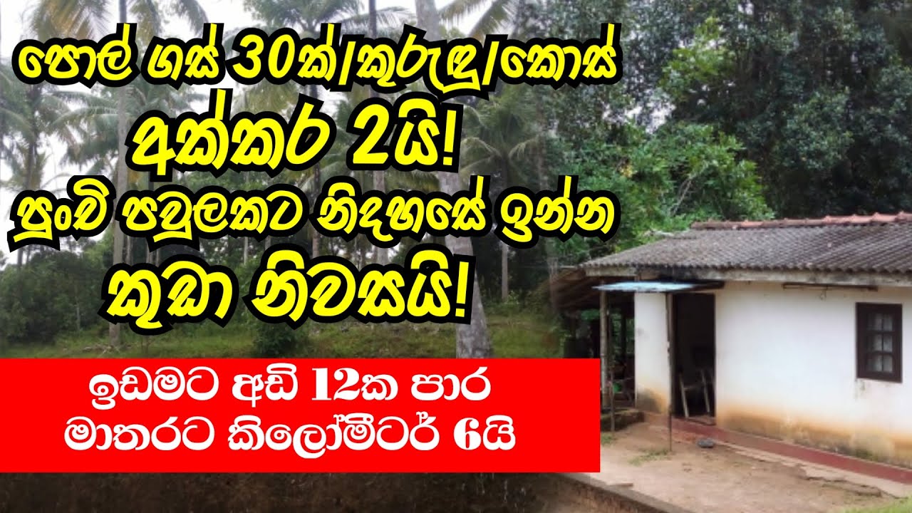 කුඩා නිවසක් හා පොල් / කොස් / කුරුදු සහිත අක්කර දෙකක් මාතරින් | Land for sale in matara | Property fo