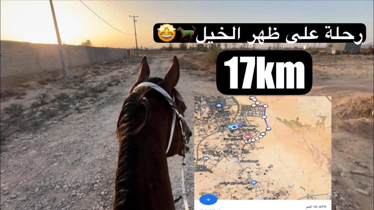 فلوق🌟| رحلة 17 كيلو على ظهر الخيل🐎🤩 .
