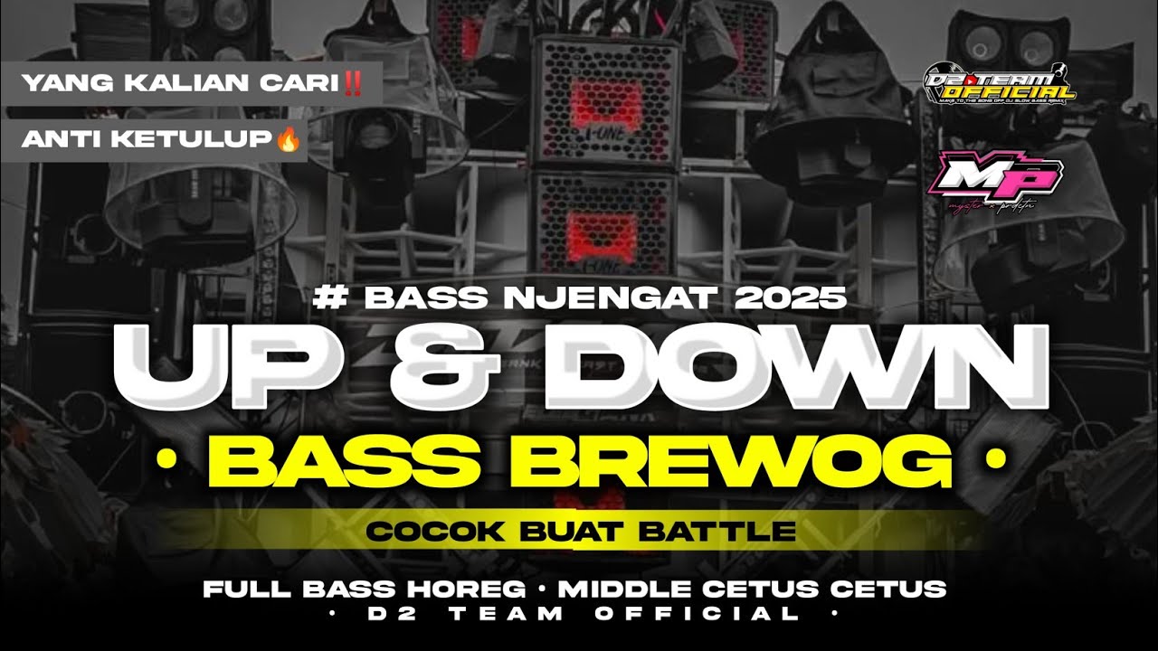 DJ UP AND DOWN | YANG DIPAKAI BREWOG AUDIO DI SUMBERSEWU | D2 TEAM OFFICIAL