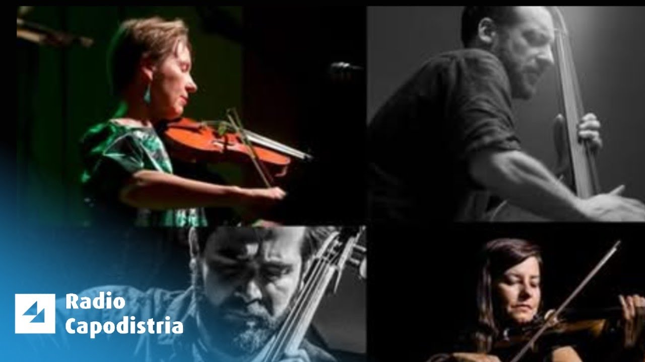 I concerti live di Radio Capodistria - Malacoda String Quartet