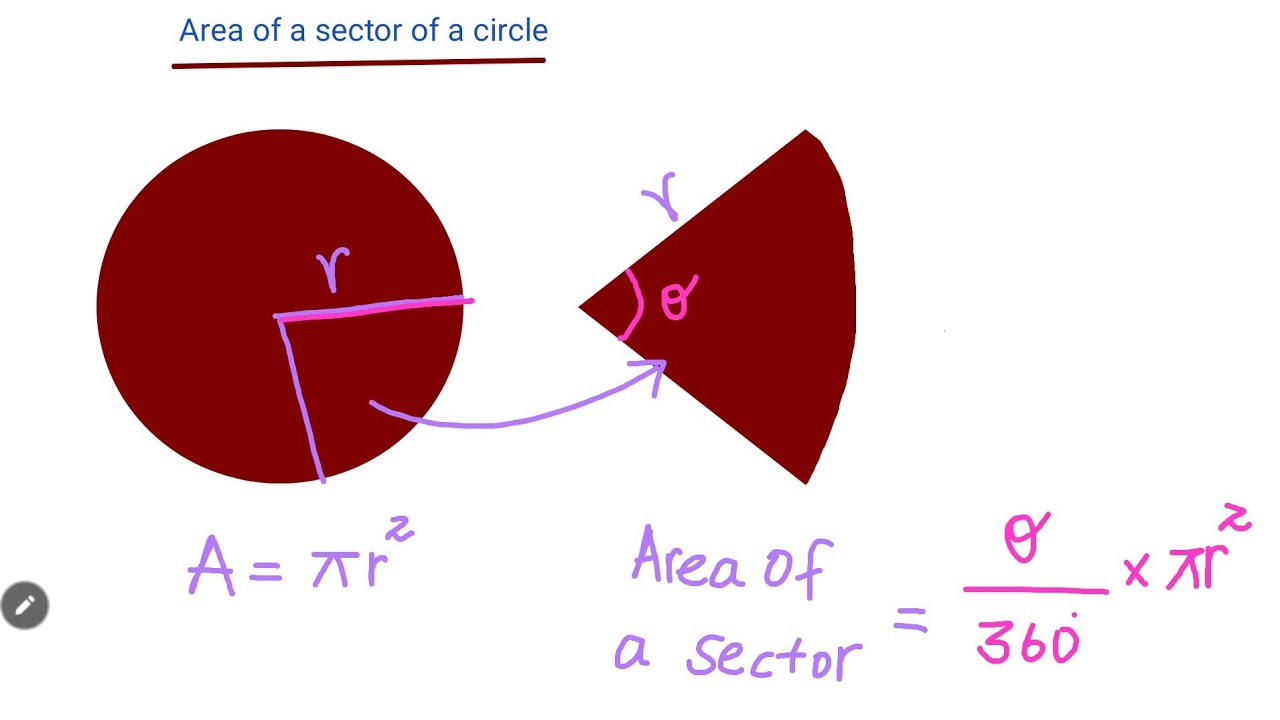 Area of a Sector ⭕️ RADIUS,  Diameter, Central Angle 📐