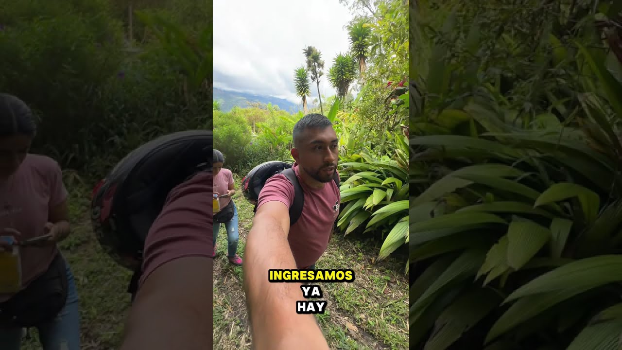 ¡Casi Perdemos el Mirador en Apía!😱 Subimos a la Reserva Natural Agualinda y Mira lo que Encontramos