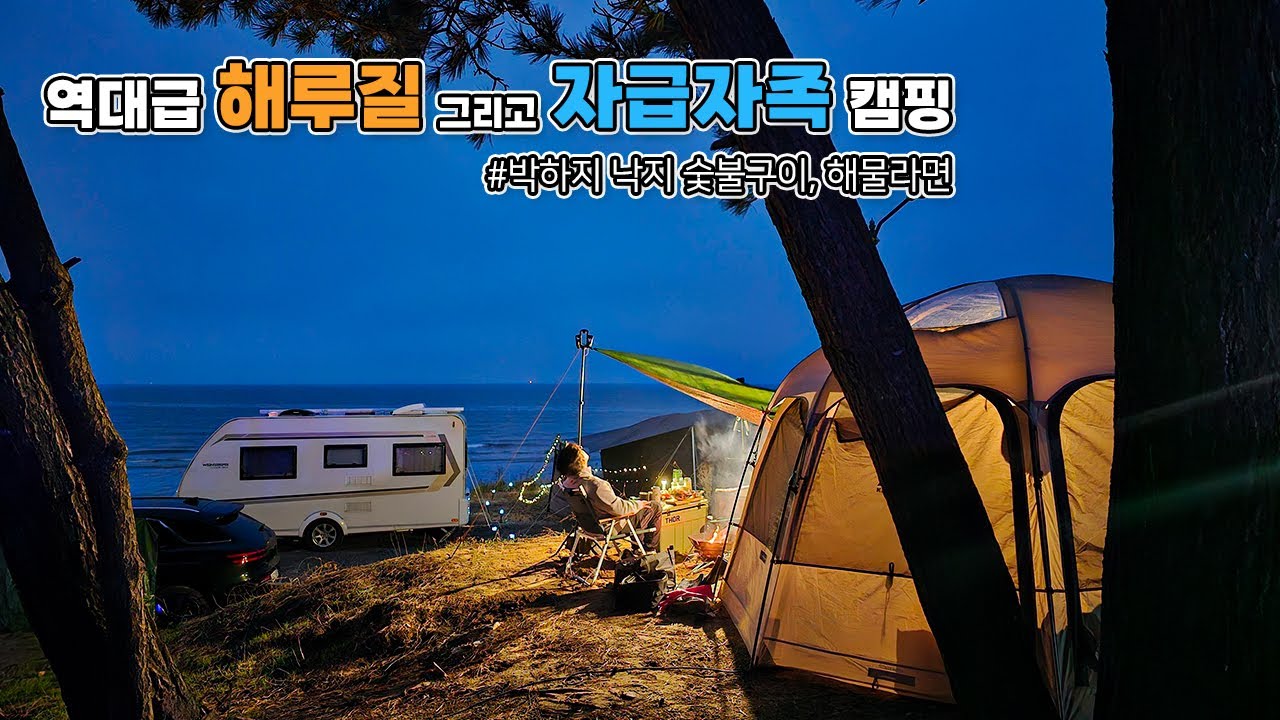 역대급 해루질 캠핑 😲/ 자급자족 박하지 낙지 잡아 숯불구이🔥 해물라면/ 서해바다 해루질 포인트 / 서천 춘장대 솔내음 캠핑장