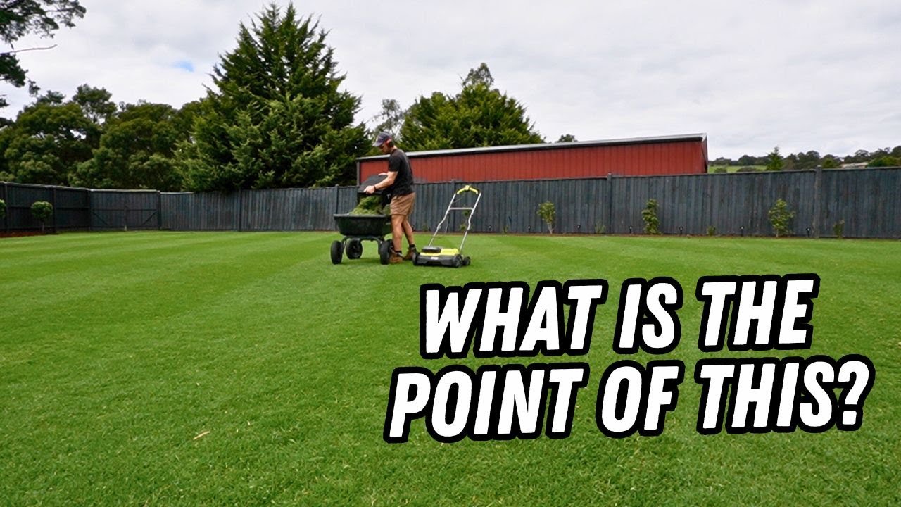 Mini renovation before the full renovation?? // thinning out my lawn with the Ryobi scarifier
