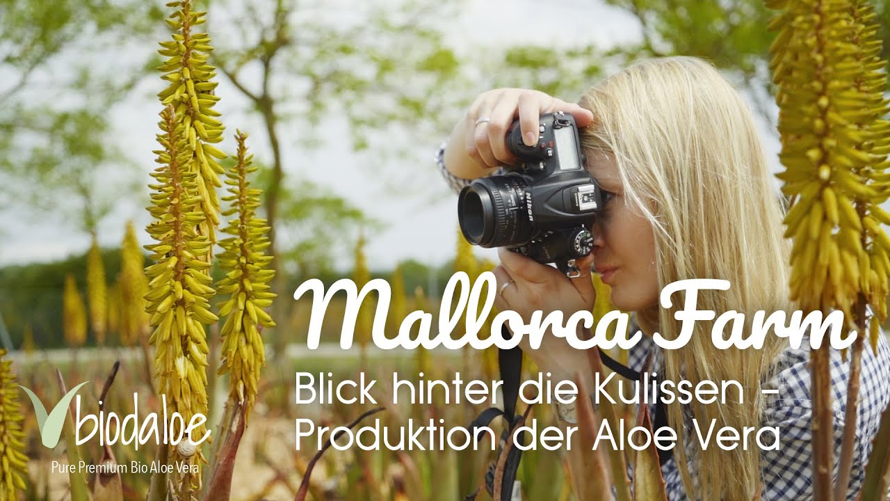 Herstellung Bio Aloe Vera Farm Mallorca - Blick hinter die Kulissen | als BIODALOE bei MIVITA