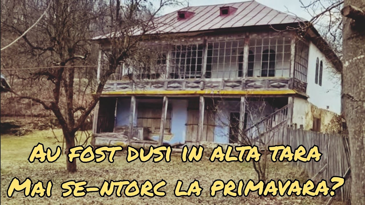 Te-ai muta în satele astea? Lumea pleacă de la țară și lasă casele în paragină