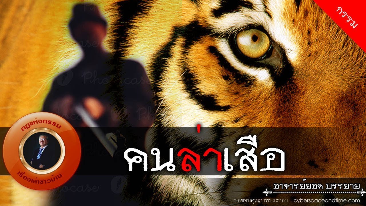 อาจารย์ยอด : คนล่าเสือ [กรรม] new