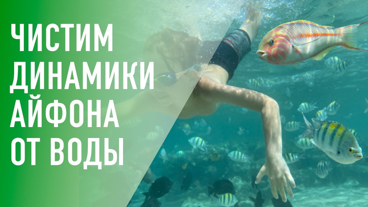 Чистим iPhone от воды и соли после съемки рыб на Красном море