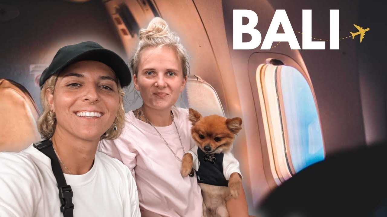 Flying a Dog Out of Bali: What No One Tells You !