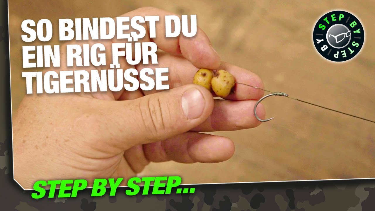 So bindest du ein Rig für Tigernüsse und Partikel | Step by Step | Karpfenangeln