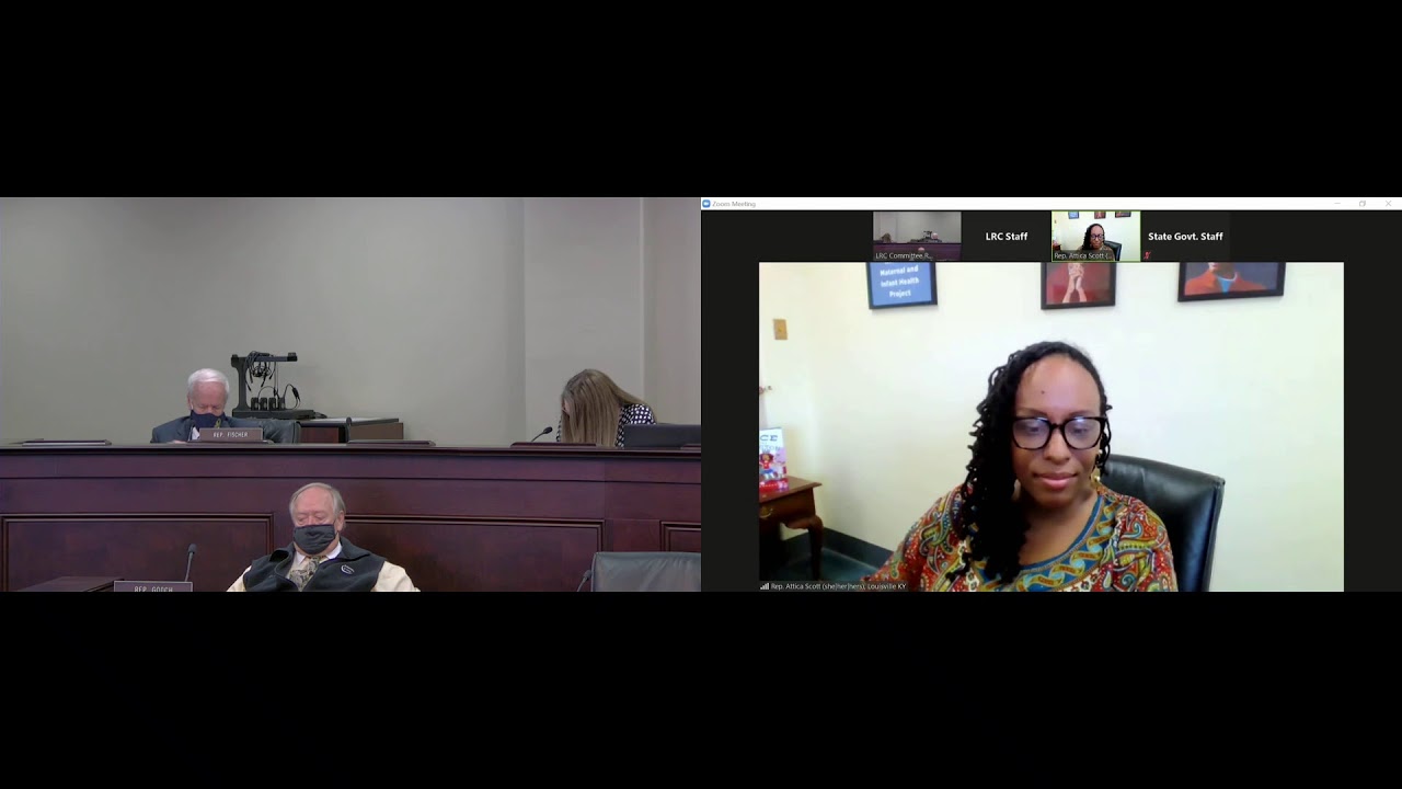 House Standing Committee on Elections, Constitutional Amendments, and Intergovernmental Affairs