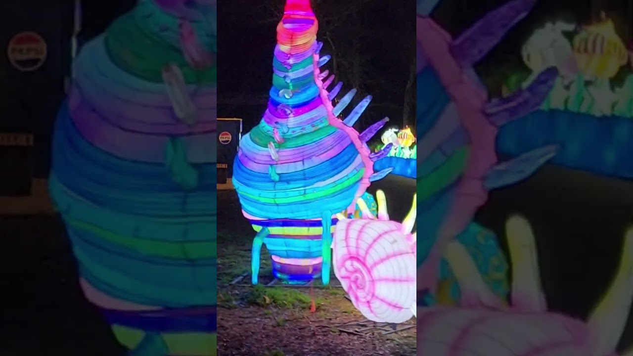 Spring Lantern Festival is a personal must-see experience!