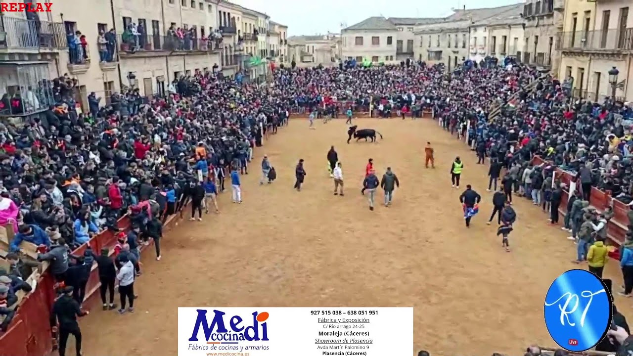 Encierro mixto con caballos, 6 toros ganadería Lopez Gibaja. Ciudad Rodrigo 2026