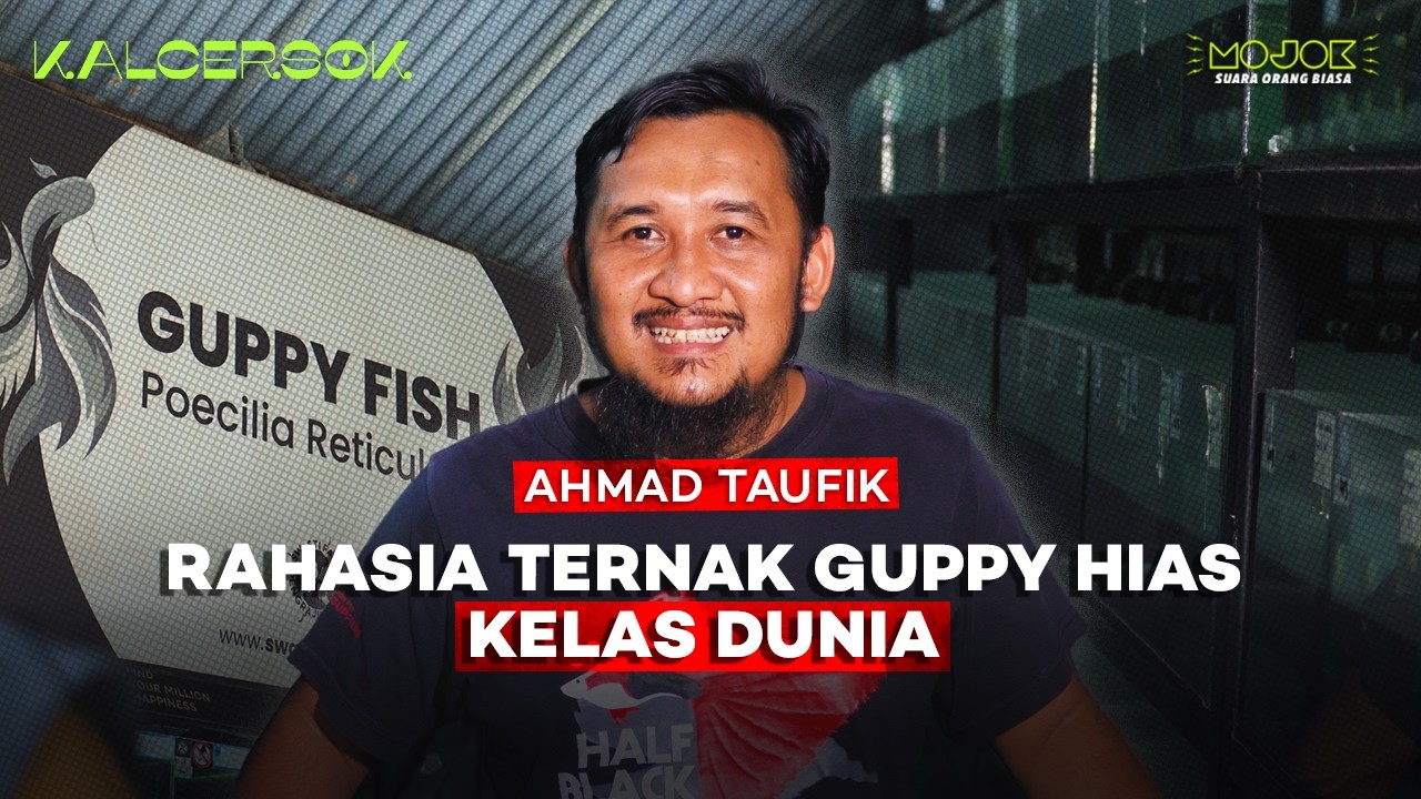SWASTI FARM: PETERNAK IKAN GUPPY TERBESAR DI INDONESIA | Kalcersok