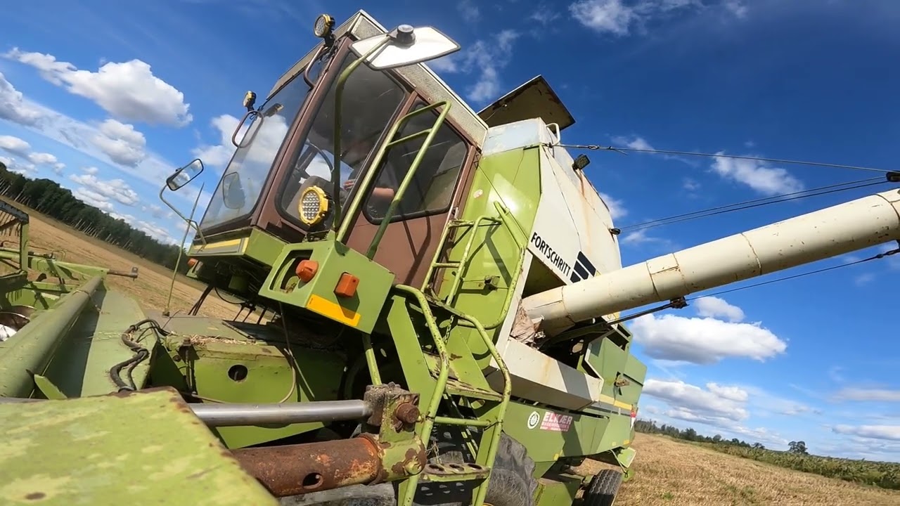 Winter wheat harvest with Fortschritt E-514 2024