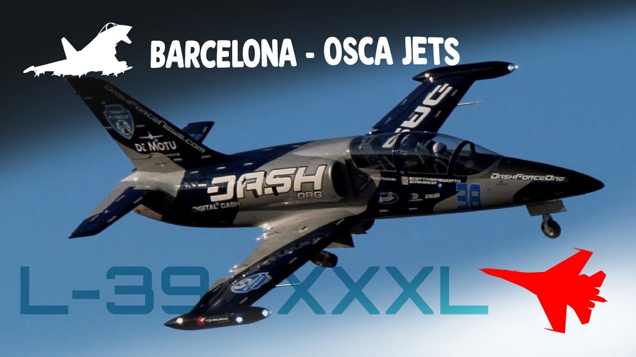 GIGANTIC RC Jet !!! ✈️ L-39 Albatross XXXL - Tomahawk Design 1/2.7th