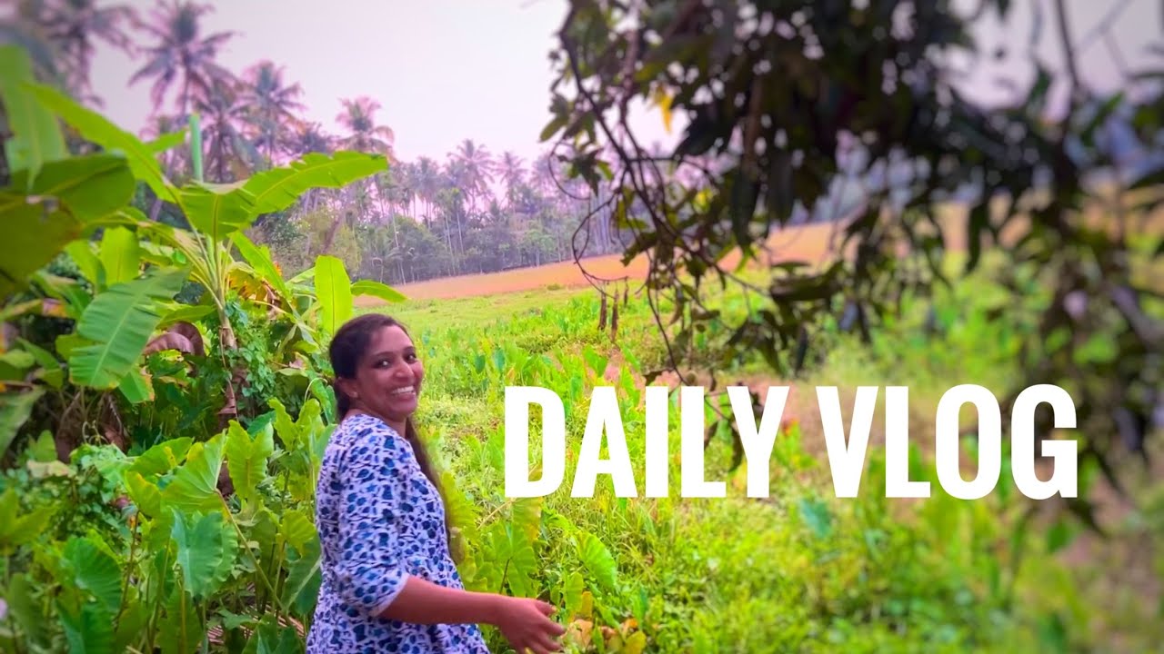 Daily Vlog #20 വൈകുന്നേരം 😊