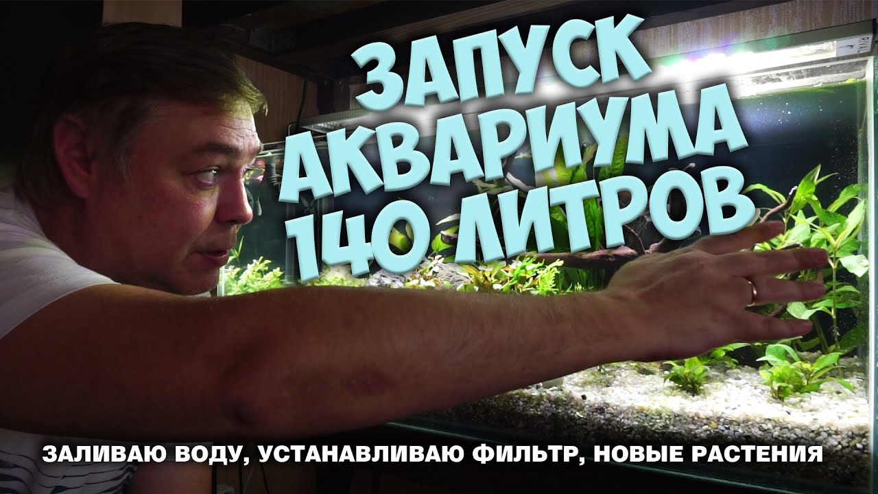 Запуск аквариума 140 литров. Заливаем воду. Ставим фильтр. Пересадка растений.