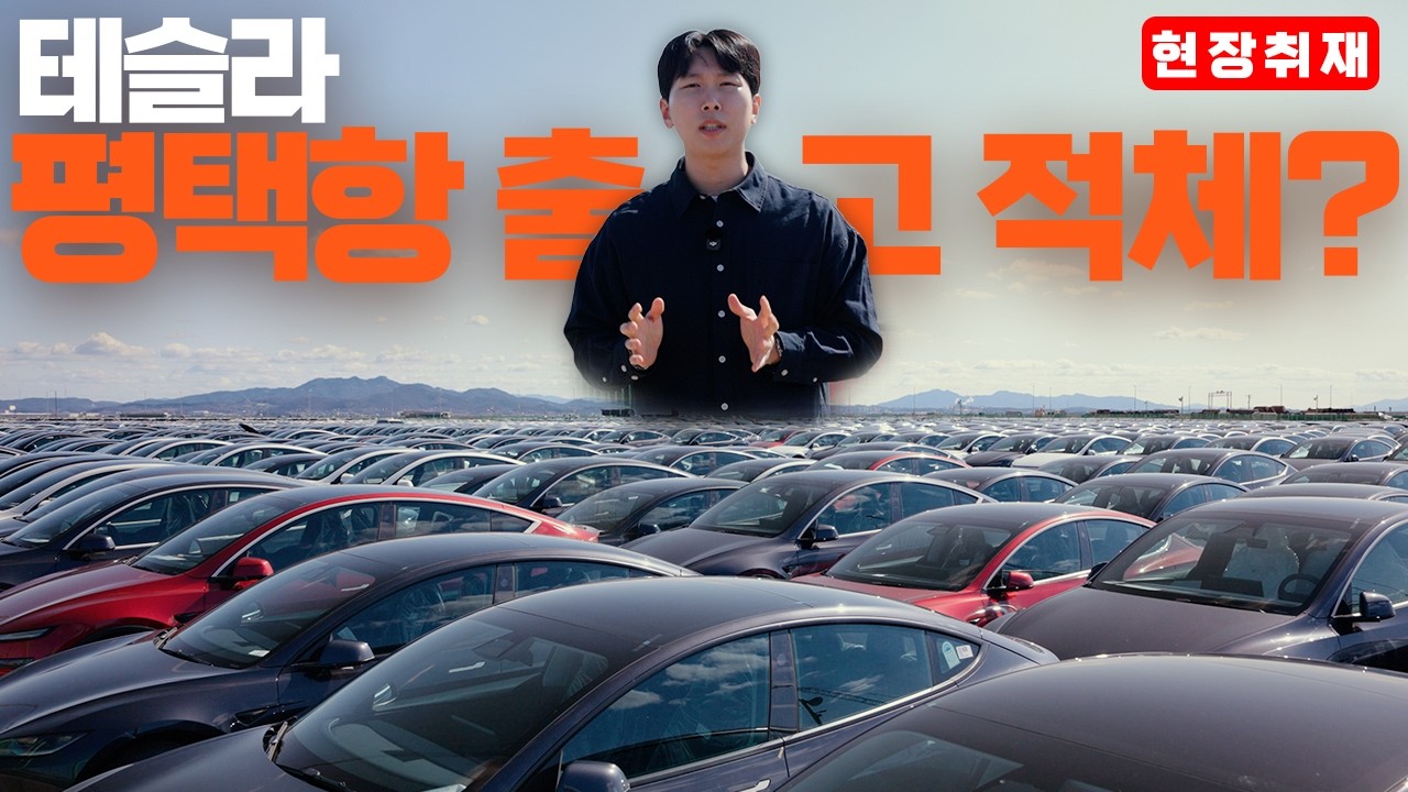 테슬라 평택항 출고 적체 사태, 이유가 뭘까? 현장에 나가봤습니다.