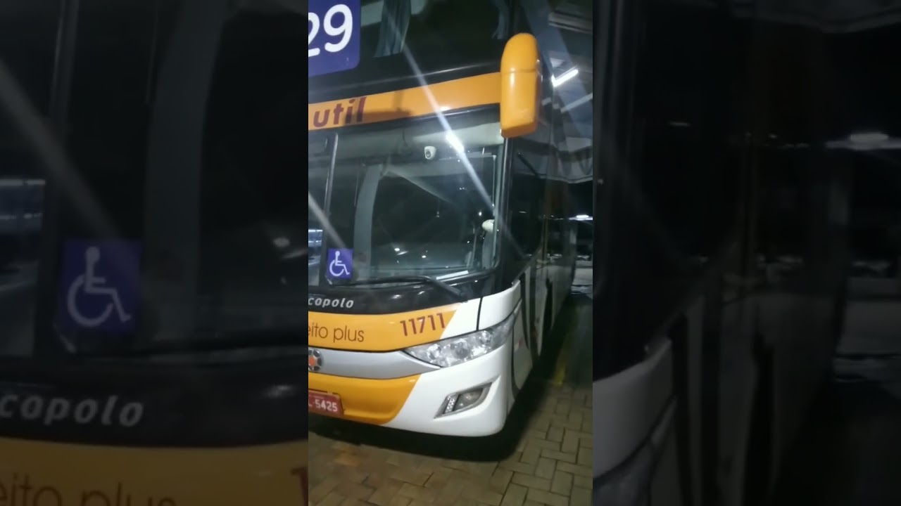 Via&ccedil;&atilde;o &Uacute;til MIX LEITO PLUS TIGRE.#Shorts