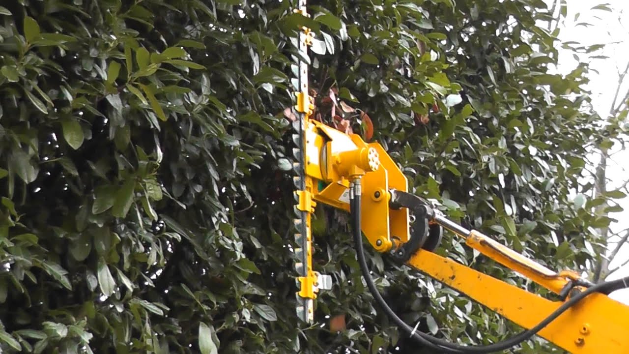 Tagliarami / Tosasiepi Ghedini su mini escavatore JCB