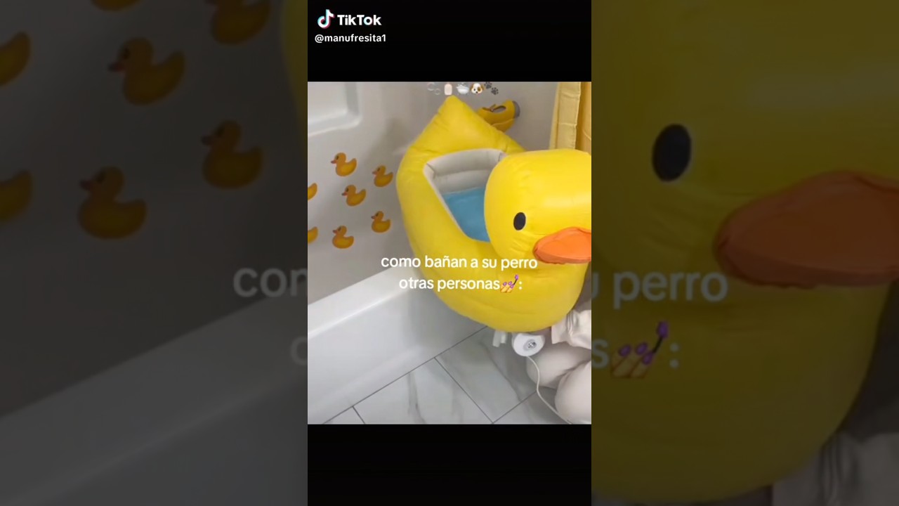Como ba&ntilde;an a su perro otras personas vs como lo ba&ntilde;o yo!! #parati #pets #lomitospeludos #pomeranian