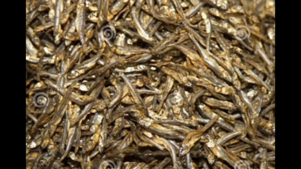  Umudayimoni ugutuyemo azahita akuvamo / umubone agusezera 