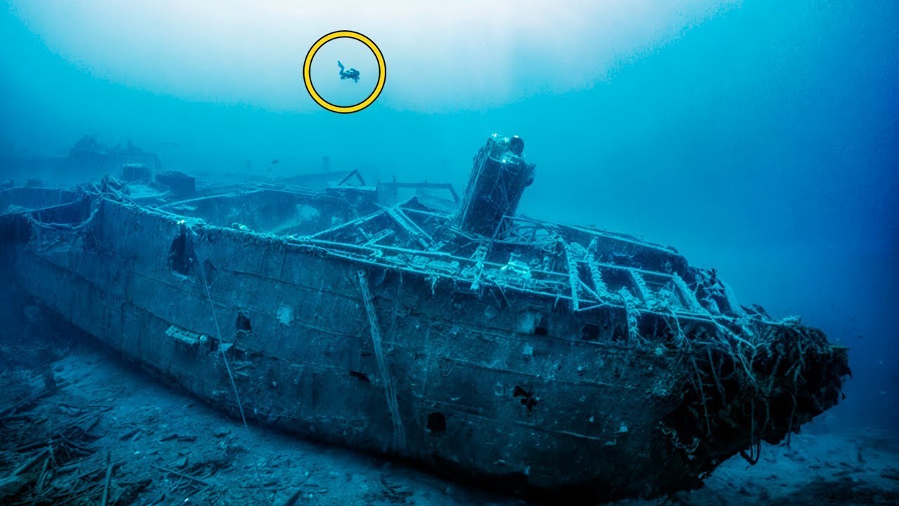 The Most Amazing Things Found At The Bottom Of The Ocean