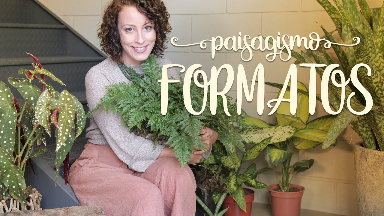Como ORGANIZAR as PLANTAS: Formatos